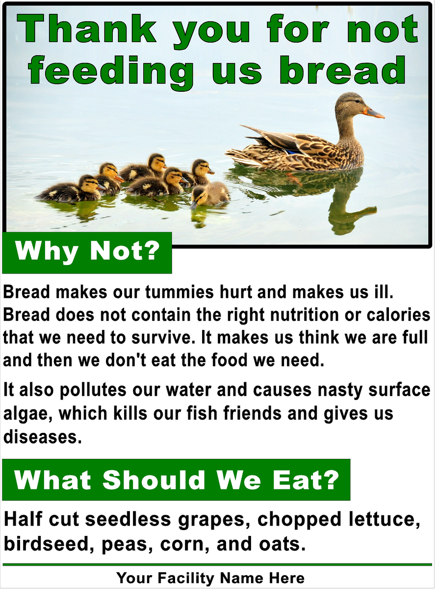 Question I Saw a Sign Saying Not to Feed Ducks Bread. Does Bread Harm Signs by SalaGraphics