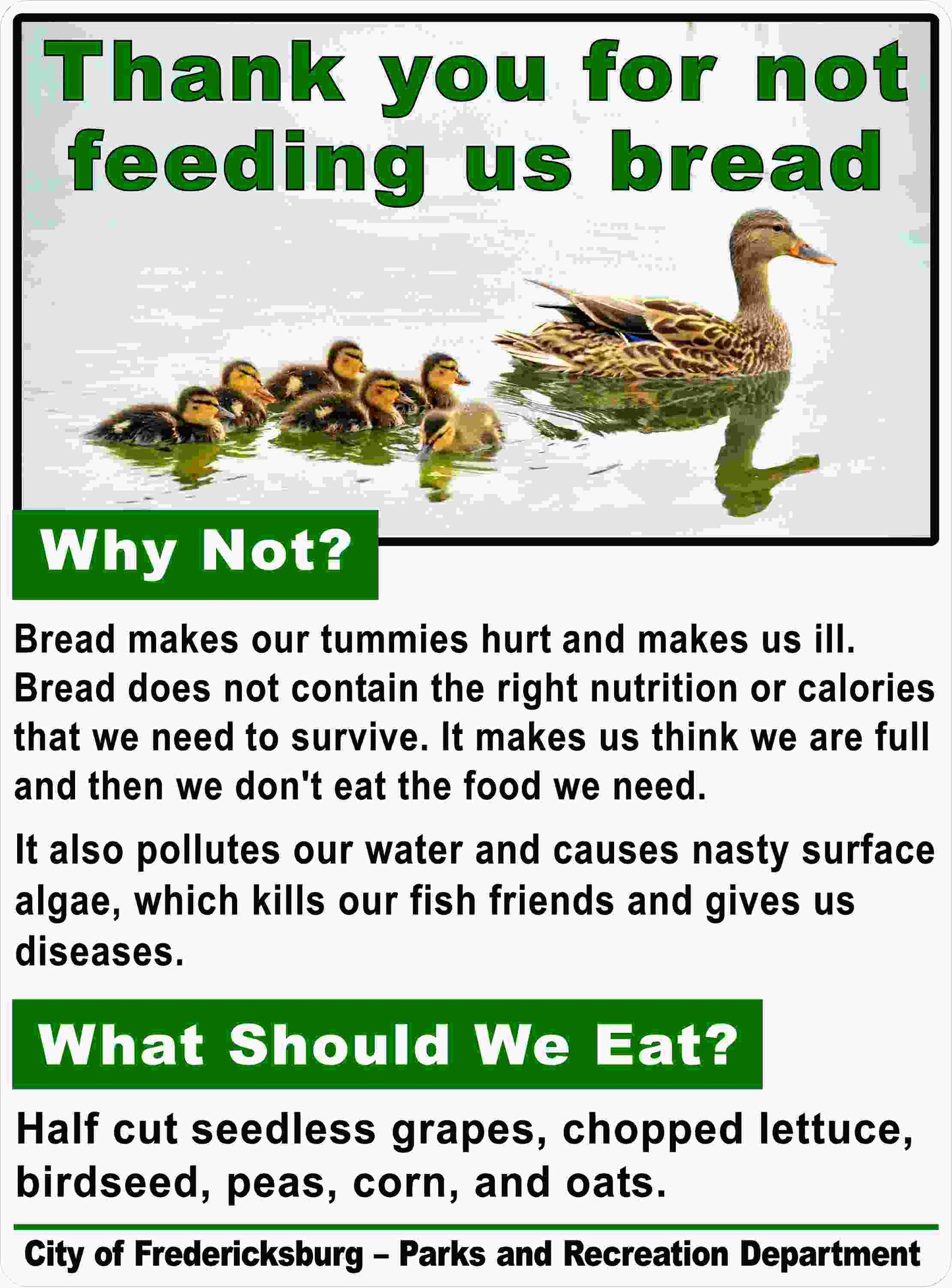 Products Custom Duck Sign Thank You For Not Feeding Us Bread