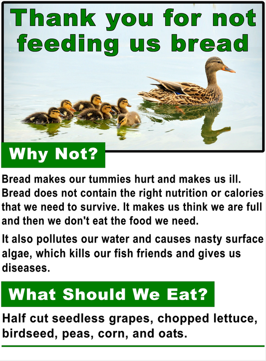 Thank you for Not Feeding Us Bread Duck Sign