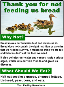 Question: I Saw a Sign Saying Not to Feed Ducks Bread. Does Bread Harm Ducks?