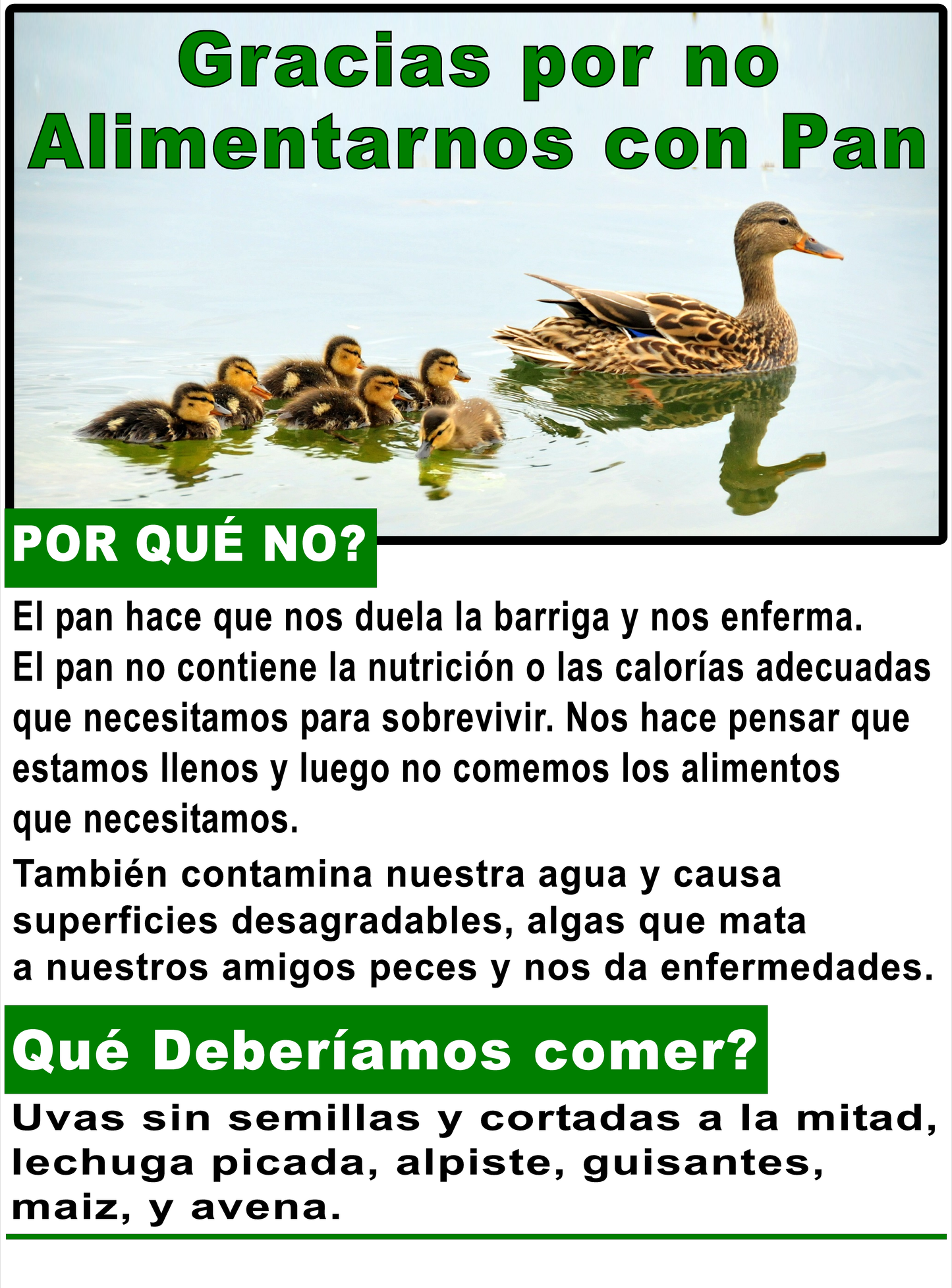 Thank you for Not Feeding Us Bread Duck Sign