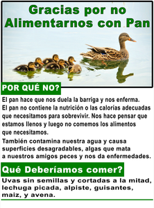 Thank you for Not Feeding Us Bread Duck Sign w/ Custom & Bilingual option