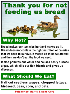 Custom Duck Feeding Rules Sign 