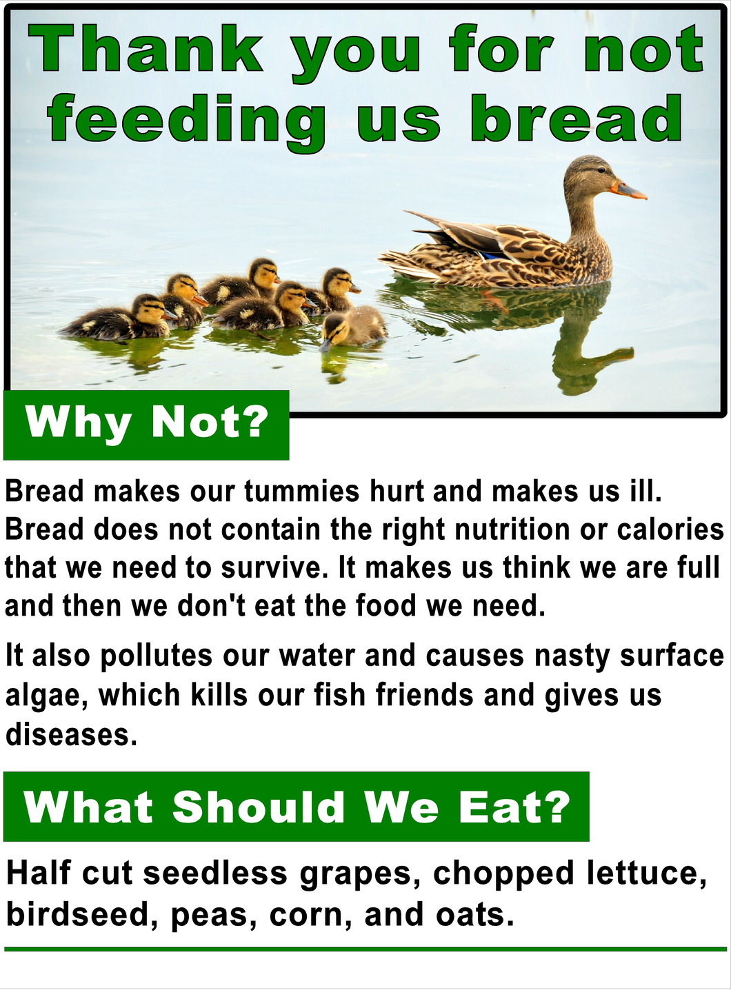 Products Custom Duck Sign Thank You For Not Feeding Us Bread